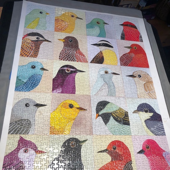 curiousbird